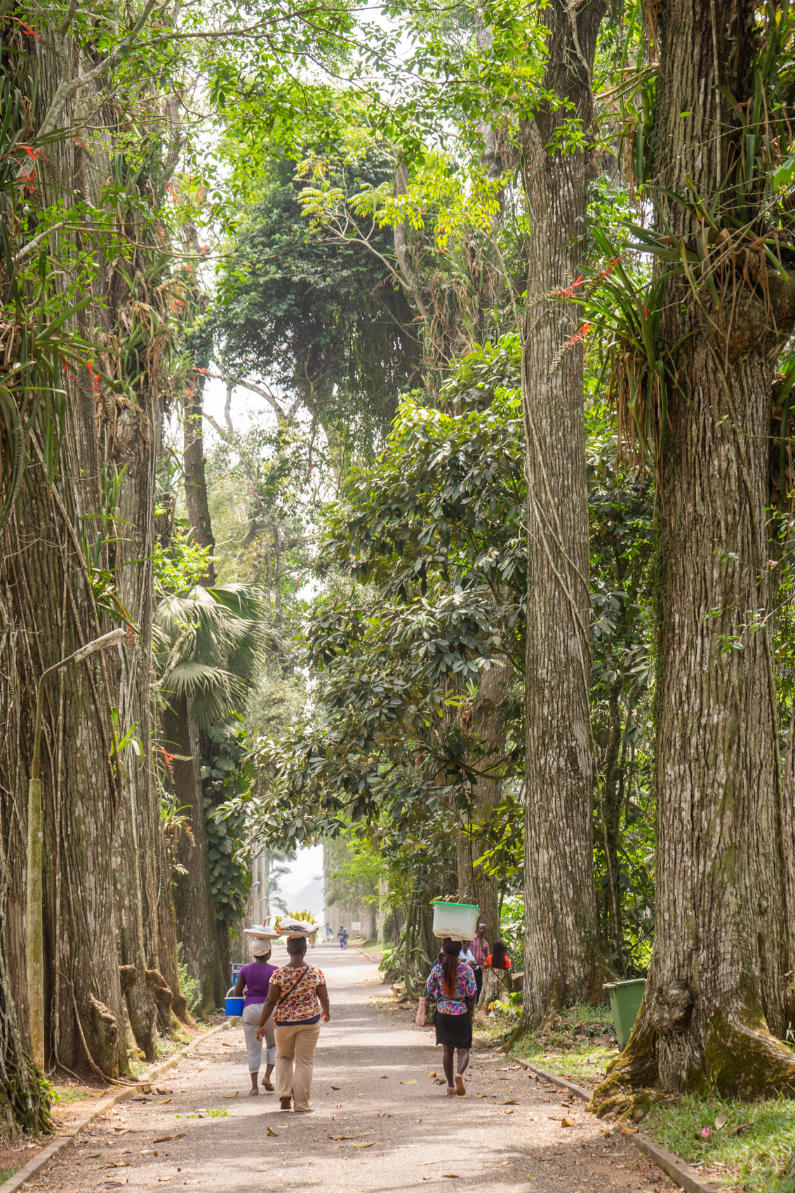 Menschen im Botanischen Garten in Ghana