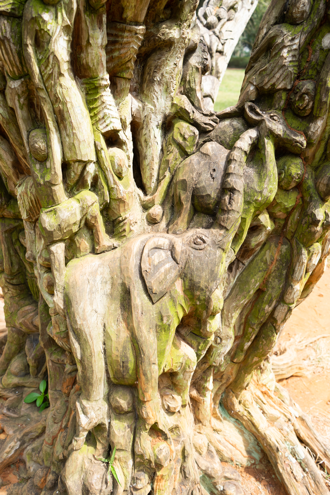 Elefanten Baum des Lebens
