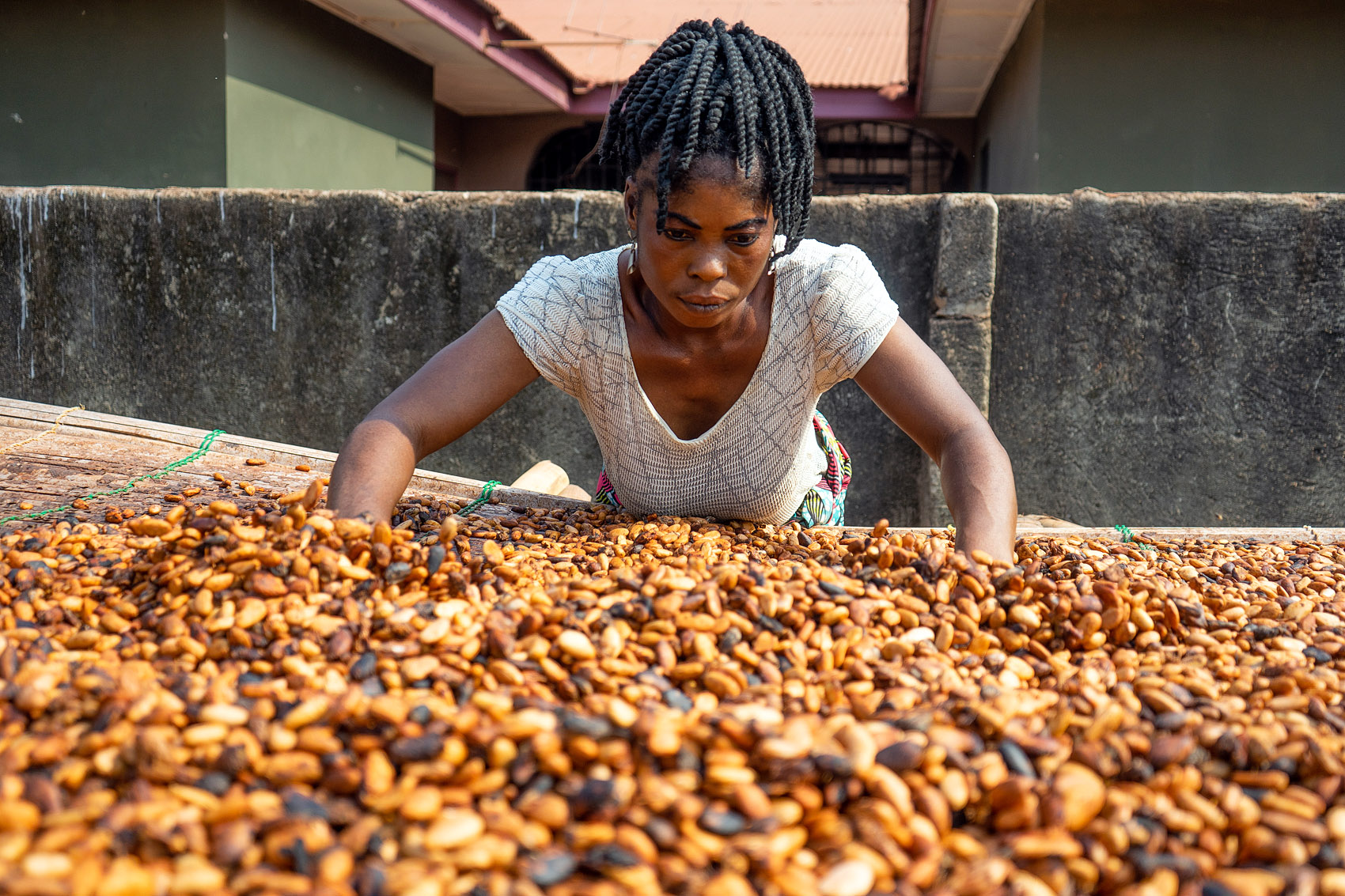 Frau arbeitet mit Kakaobohnen in Ghana, Afrika