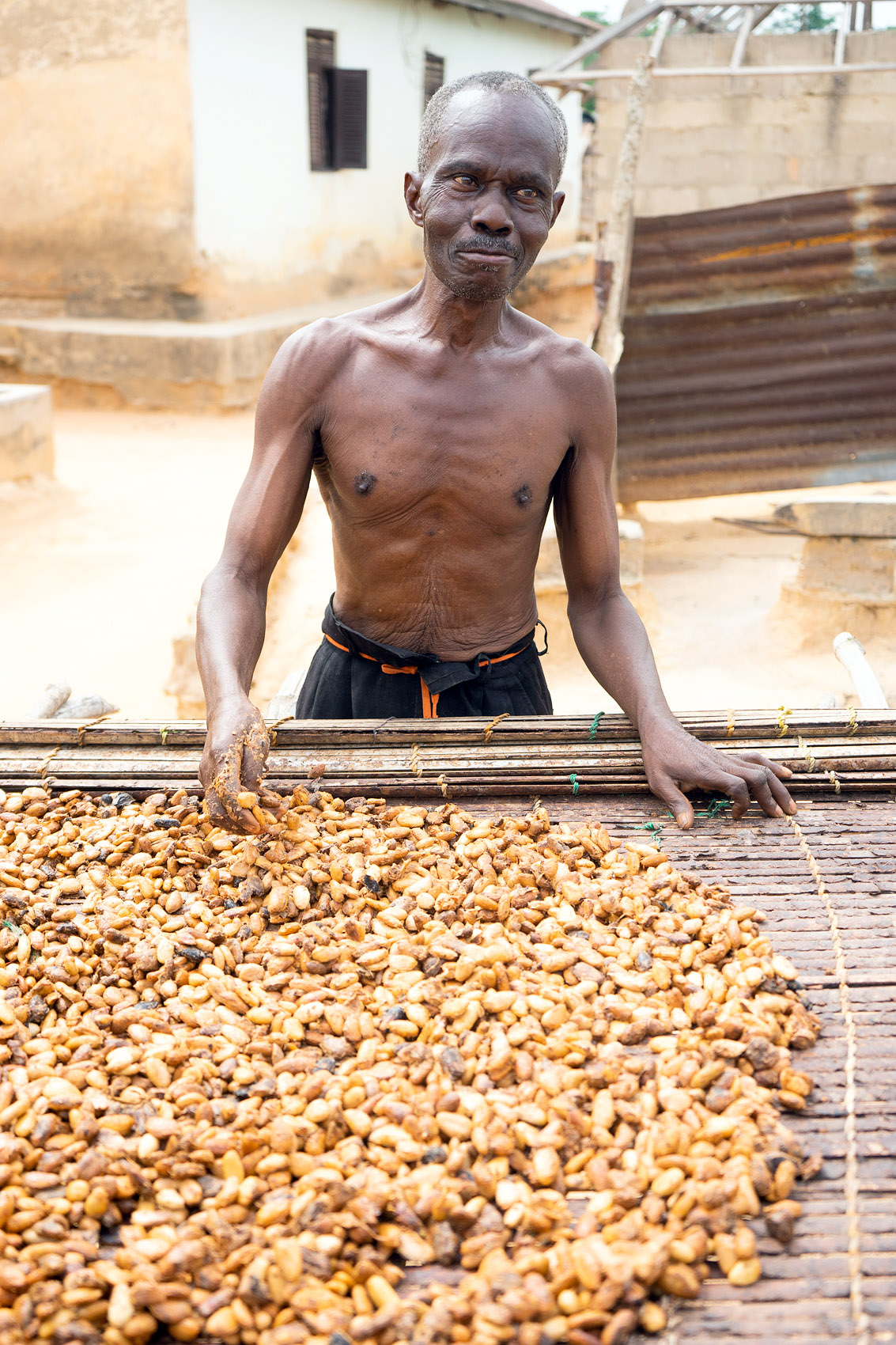 Ghana Mann mit Kakao trocknen
