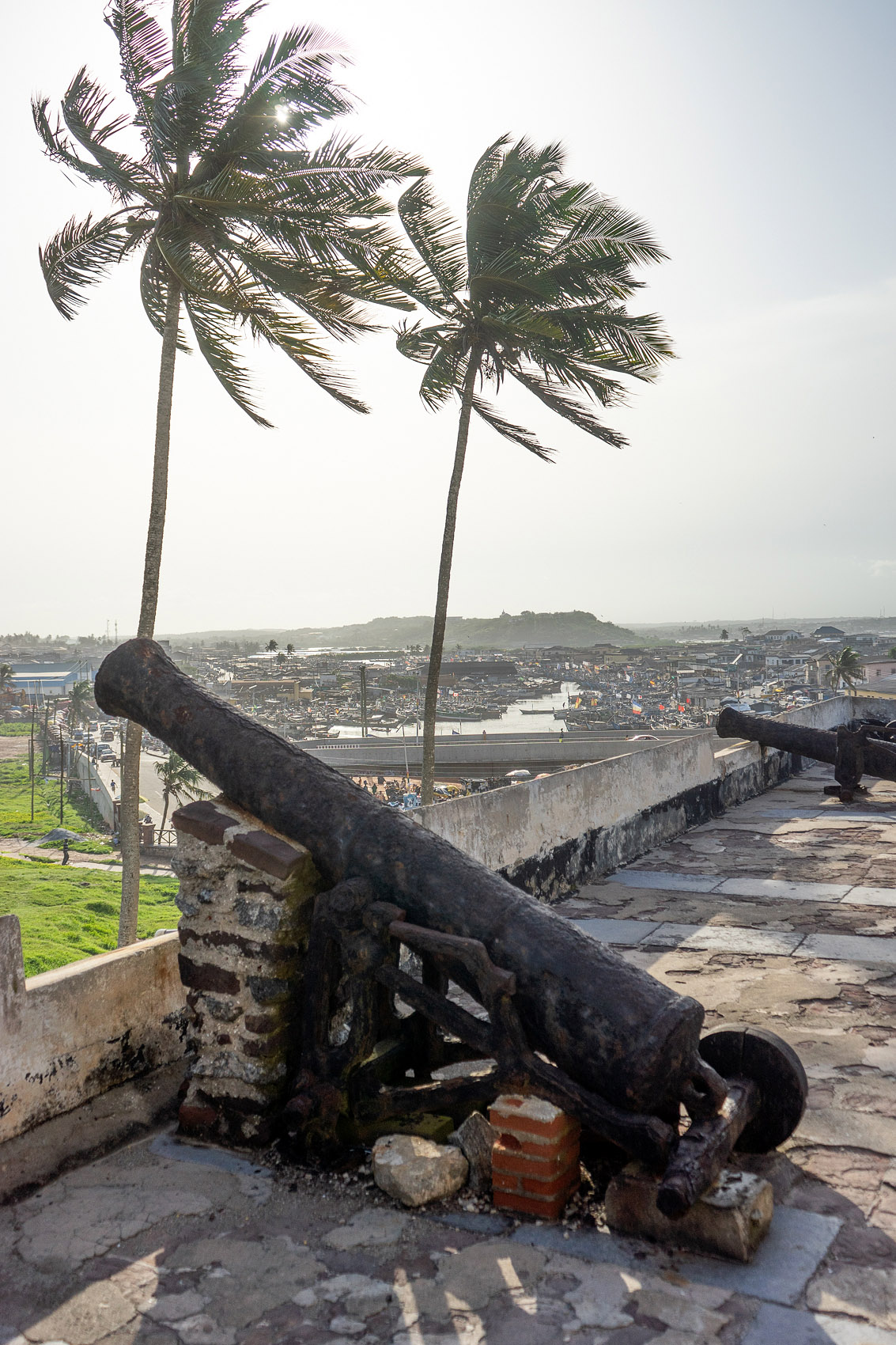 Elmina Festung mit Kanone und Palmen