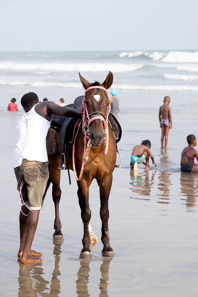 Horse am Strand von La Beach in Accra