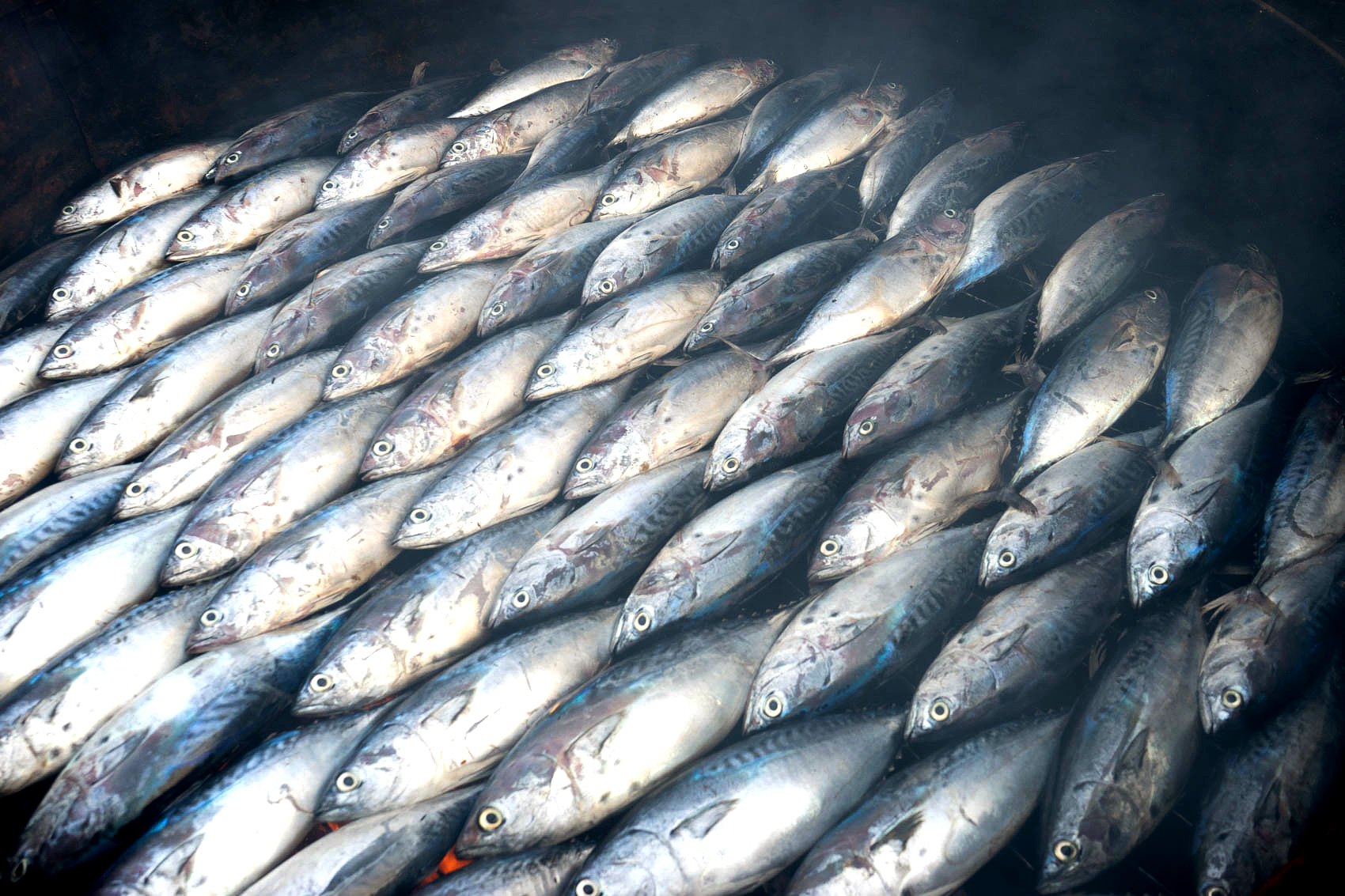 Frischen Fisch in Accra