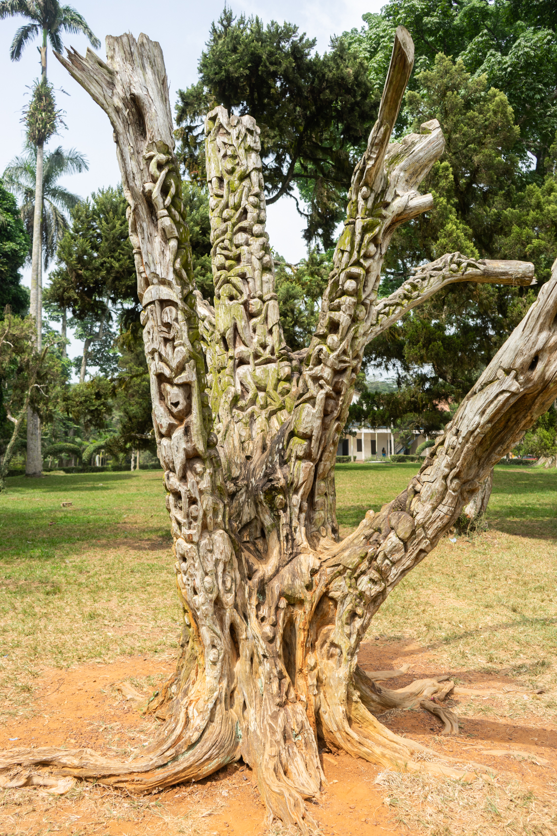 Baum des Lebens Aburi 